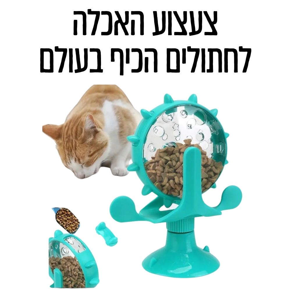 צעצוע האכלה לחתולים