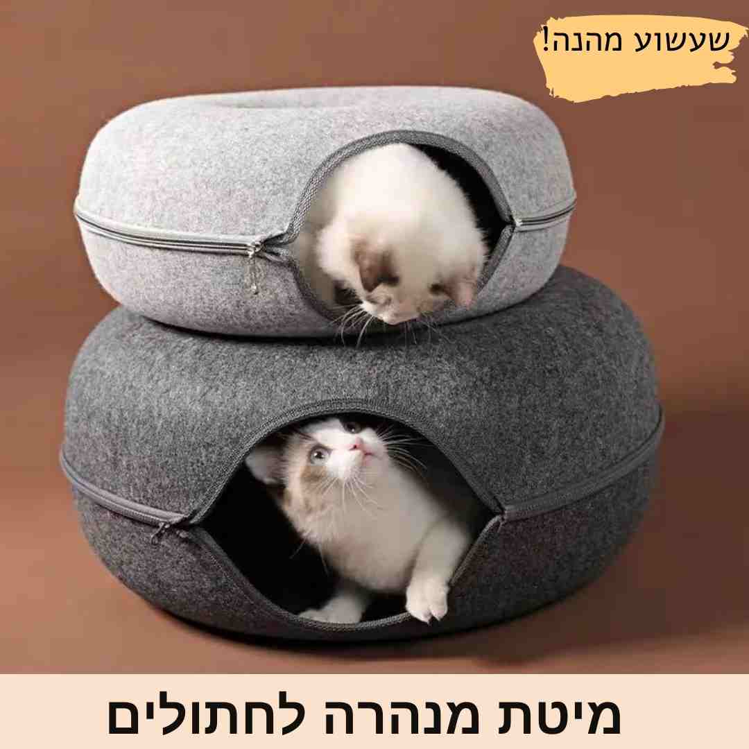 מיטת מנהרה לחתולים