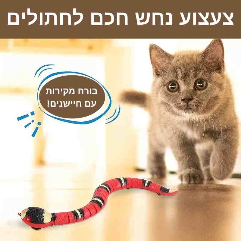 צעצוע נחש לחתולים